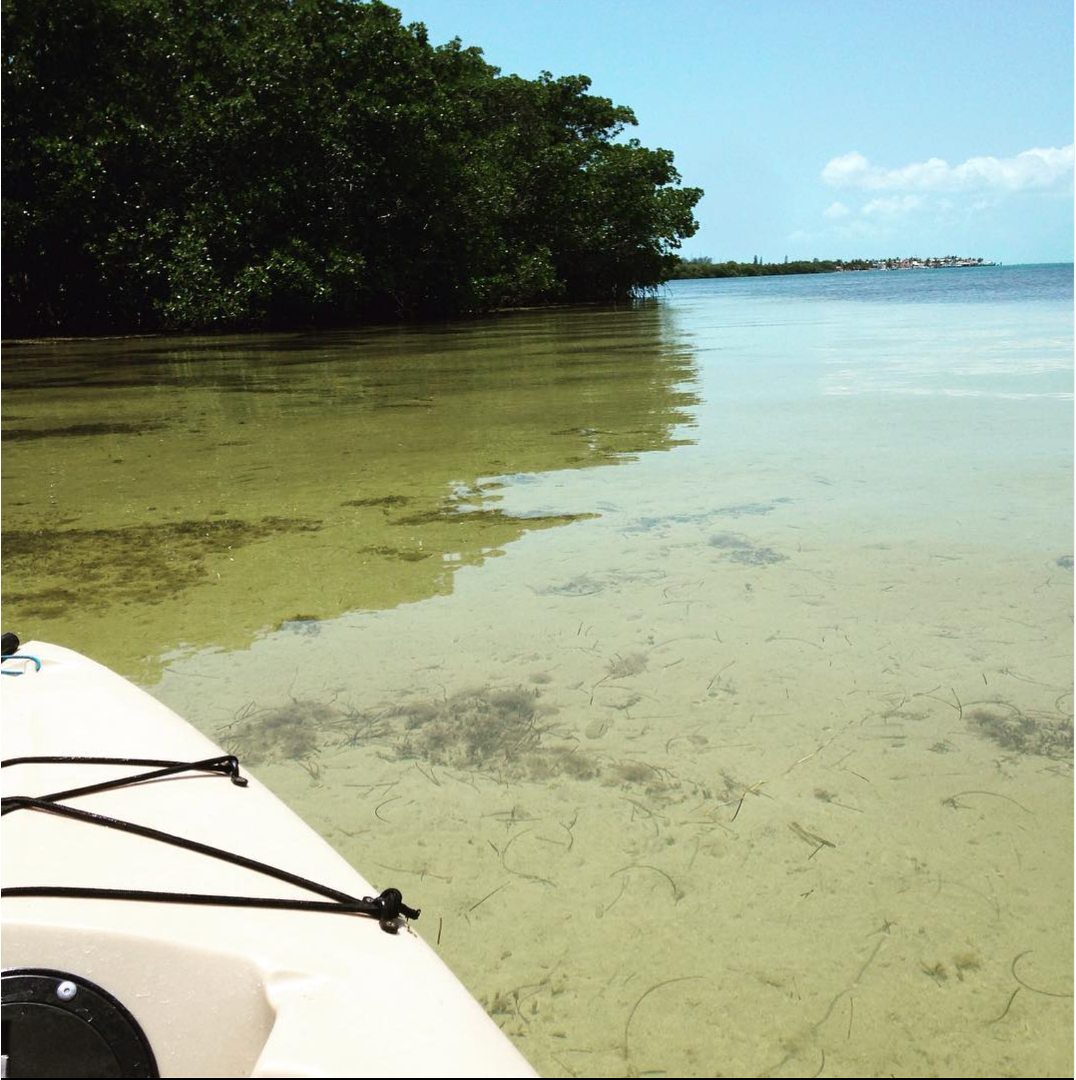 Kayaking to a sampling locations in the Florida Keys