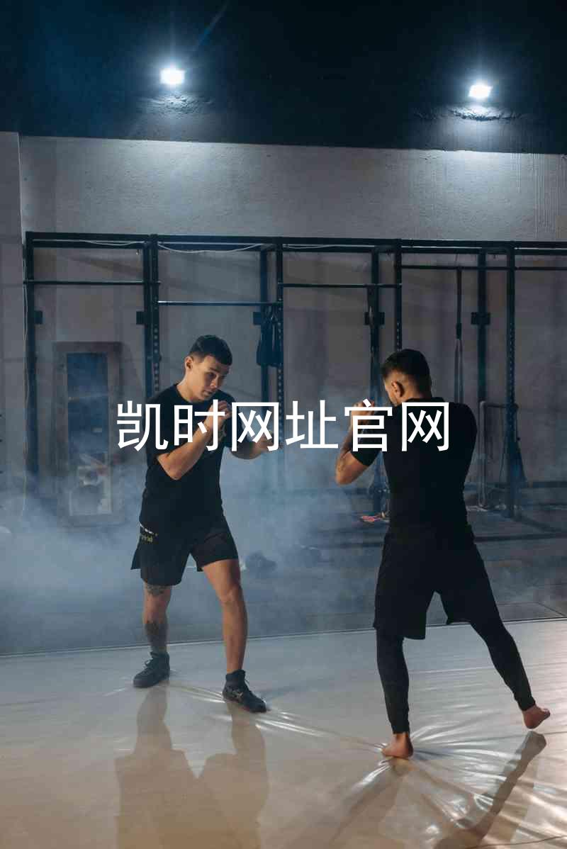 凯时网址官网
